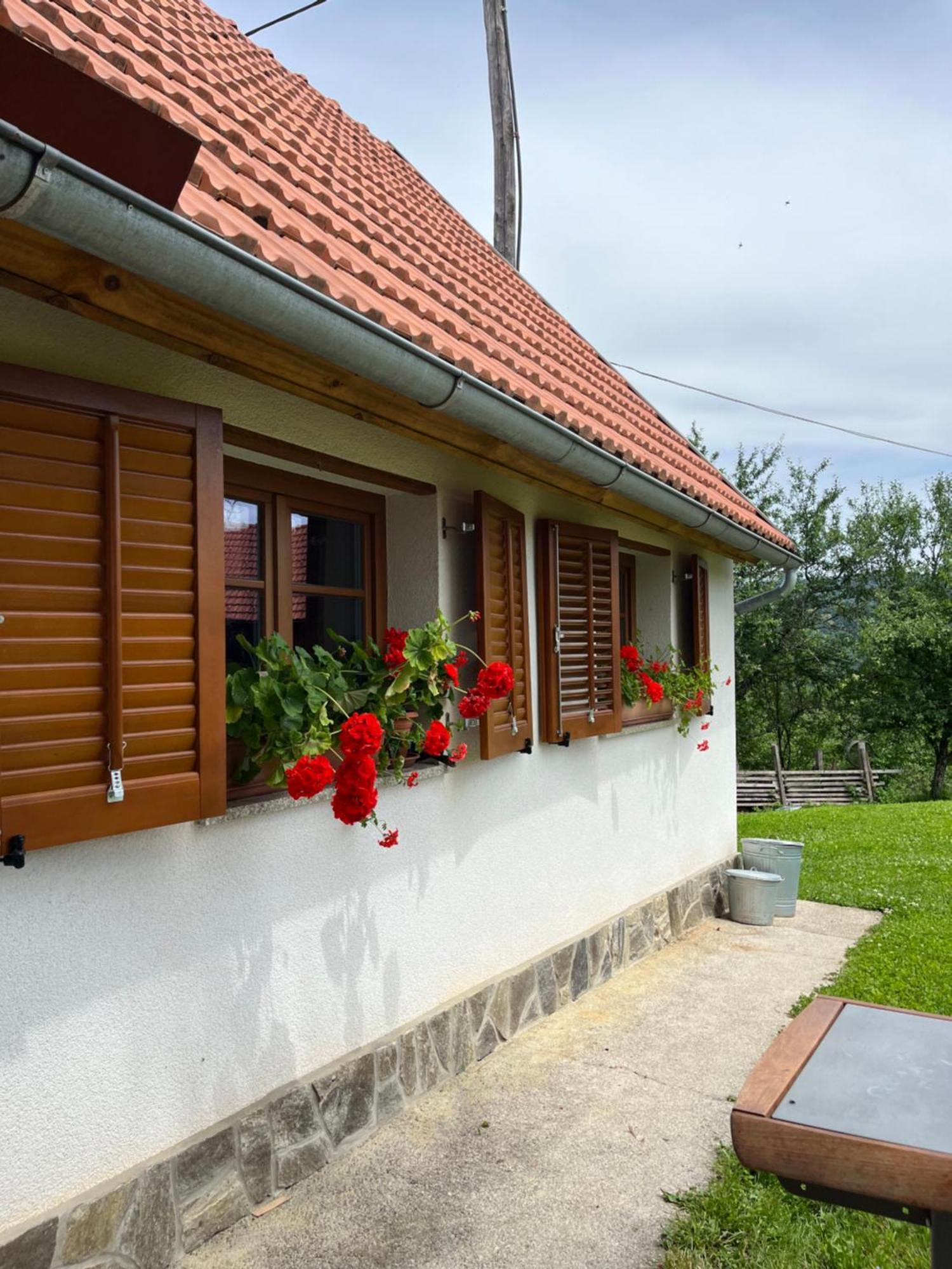 Villa Domacija Brdar Adlesici Exterior foto