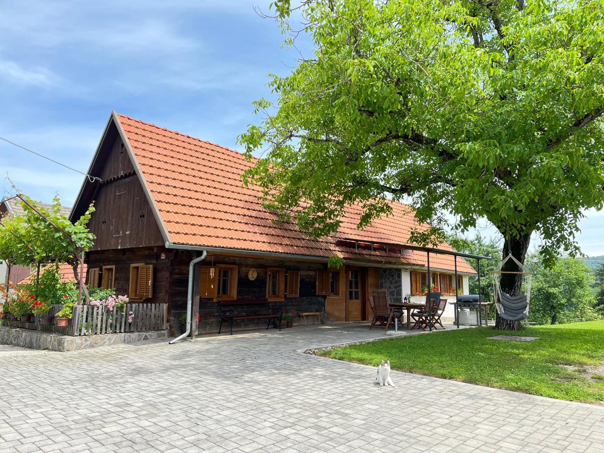 Villa Domacija Brdar Adlesici Exterior foto